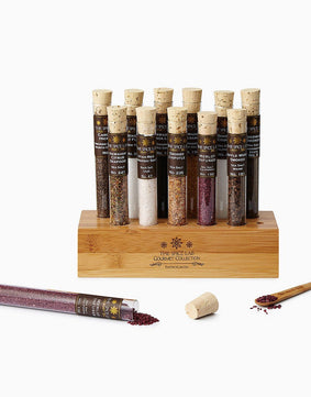 Interdum elit vestibulum