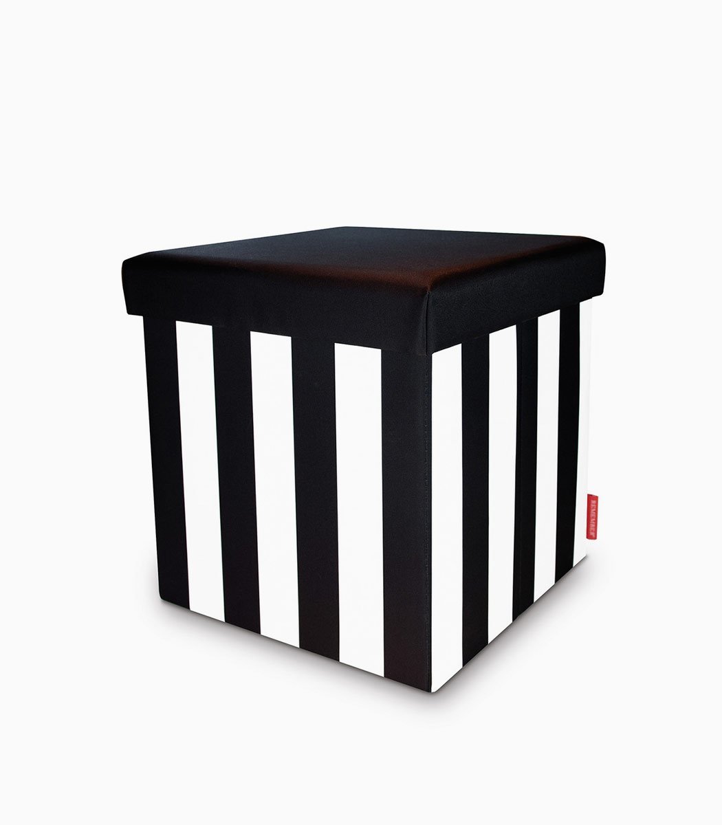 Vestibulum purus ipsum