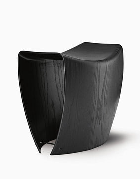 Vestibulum purus ipsum