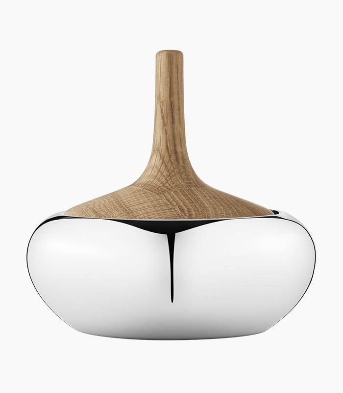 Congue adipiscing penatibus